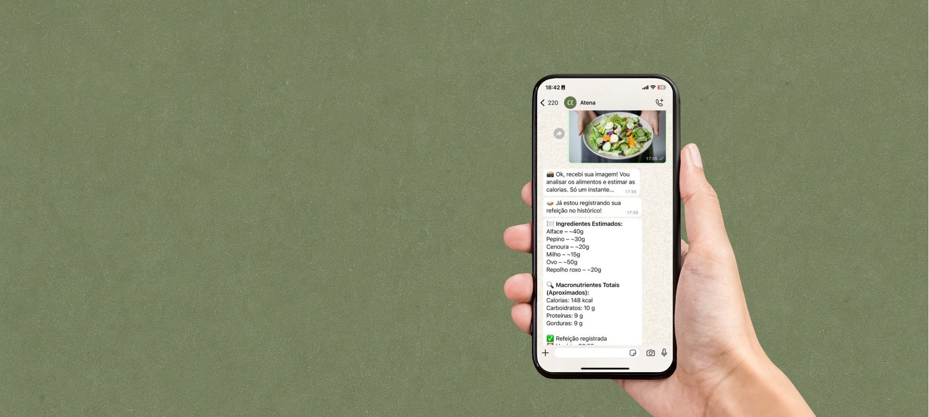 Atena WhatsApp Interface